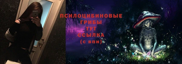 меф Арсеньев