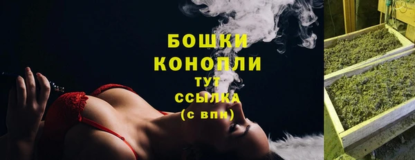 меф Арсеньев
