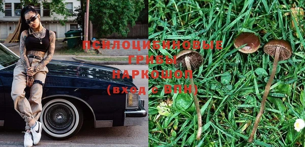 ПСИЛОЦИБИНОВЫЕ ГРИБЫ Аркадак