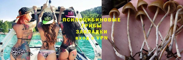 ПСИЛОЦИБИНОВЫЕ ГРИБЫ Аркадак