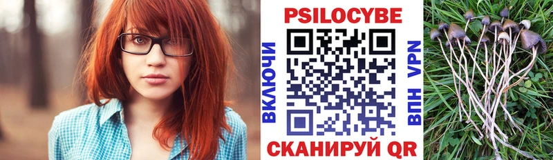 Галлюциногенные грибы ЛСД Шелехов
